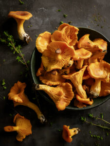 Golden Chanterelle Elegance