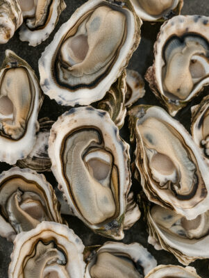 Bountiful Ocean Treasures