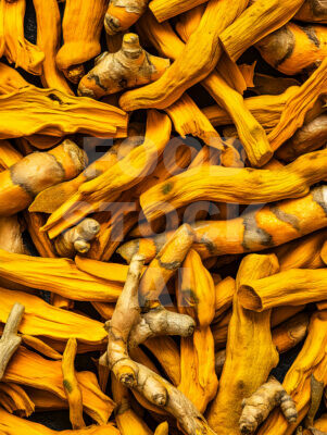 Peeled Turmeric Roots