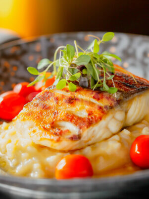 Dorado Fillets with Creamy Risotto