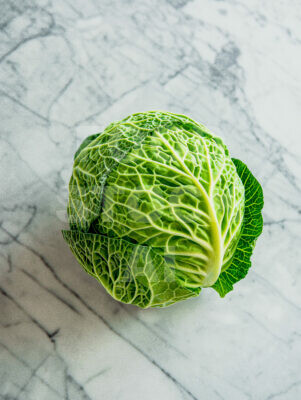 Simplicity in Green: A Cabbage Portrait