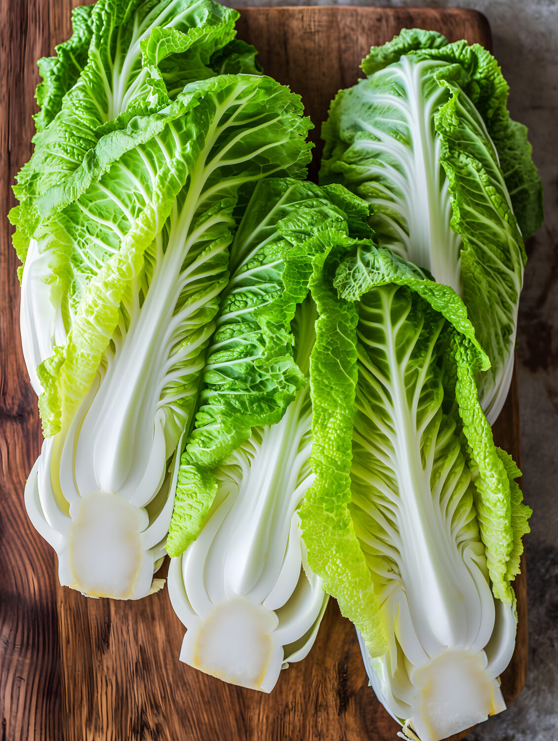 Crisp Napa Cabbage Canvas